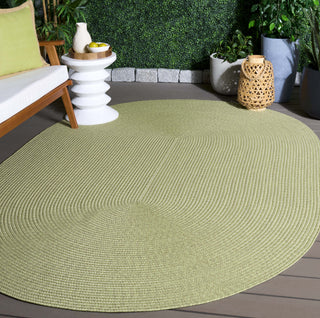 Safavieh Braided BRD317W Sage Area Rug Room Scene