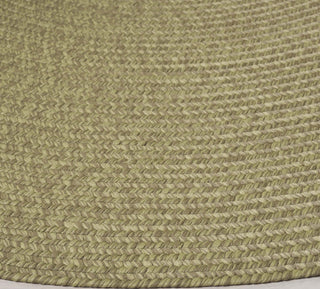 Safavieh Braided BRD317W Sage Area Rug Detail