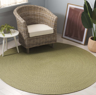 Safavieh Braided BRD317W Sage Area Rug Room Scene
