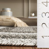 Safavieh Braided BRD318A Ivory / Black Area Rug Detail
