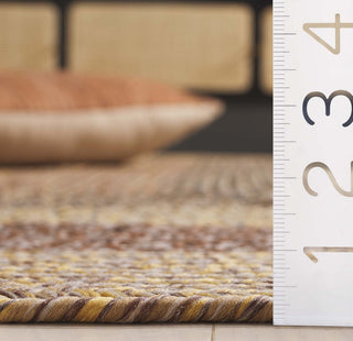 Safavieh Braided BRD318B Beige / Brown Area Rug Detail