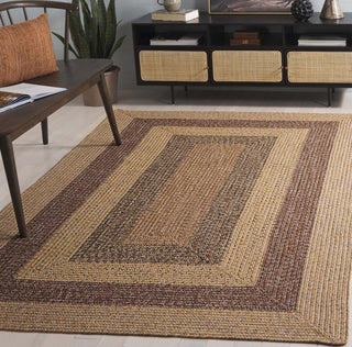 Safavieh Braided BRD318B Beige / Brown Area Rug Room Scene Feature