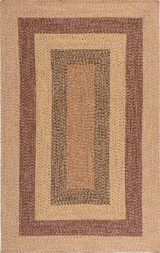Safavieh Braided BRD318B Beige / Brown Area Rug main image