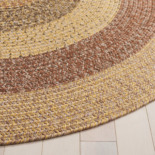 Safavieh Braided BRD318B Beige / Brown Area Rug Detail