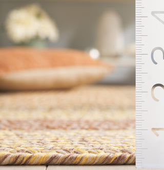 Safavieh Braided BRD318B Beige / Brown Area Rug Detail