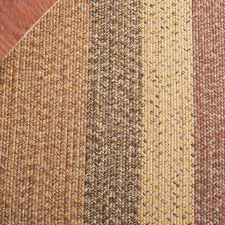 Safavieh Braided BRD318B Beige / Brown Area Rug Detail