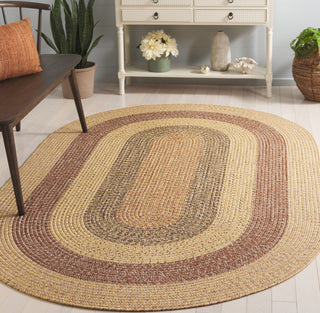 Safavieh Braided BRD318B Beige / Brown Area Rug Room Scene