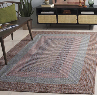 Safavieh Braided BRD318G Brown / Grey Pink Area Rug Room Scene Feature