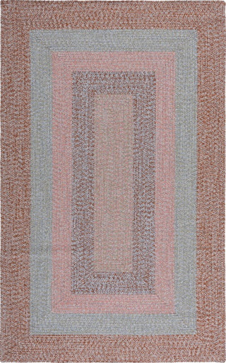 Safavieh Braided BRD318G Brown / Grey Pink Area Rug main image
