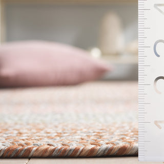 Safavieh Braided BRD318G Brown / Grey Pink Area Rug Detail