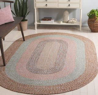 Safavieh Braided BRD318G Brown / Grey Pink Area Rug Room Scene