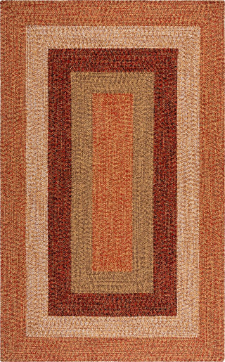 Safavieh Braided BRD318P Rust / Red Machine Washable Area Rug main image