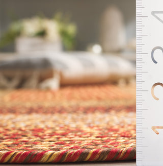 Safavieh Braided BRD318P Rust / Red Machine Washable Area Rug Detail