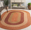 Safavieh Braided BRD318P Rust / Red Machine Washable Area Rug Room Scene