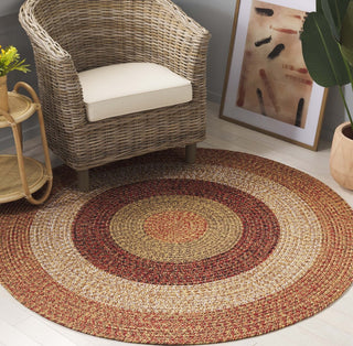 Safavieh Braided BRD318P Rust / Red Machine Washable Area Rug Room Scene Feature