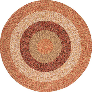 Safavieh Braided BRD318P Rust / Red Machine Washable Area Rug Round
