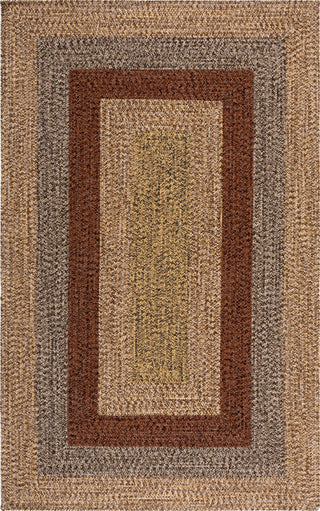 Safavieh Braided BRD318T Brown / Gold Area Rug main image
