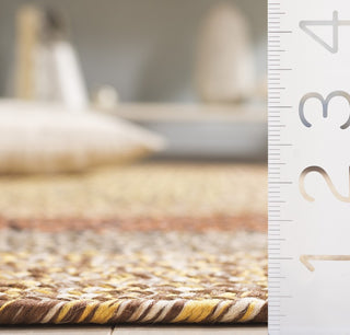 Safavieh Braided BRD318T Brown / Gold Area Rug Detail
