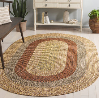 Safavieh Braided BRD318T Brown / Gold Area Rug Room Scene Feature