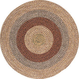 Safavieh Braided BRD318T Brown / Gold Area Rug Round