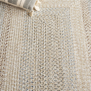 Safavieh Braided BRD321B Beige / Light Grey Area Rug Detail