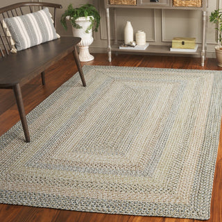 Safavieh Braided BRD321B Beige / Light Grey Area Rug Room Scene Feature