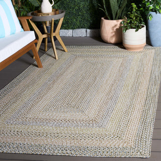 Safavieh Braided BRD321B Beige / Light Grey Area Rug Room Scene