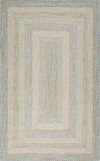 Safavieh Braided BRD321B Beige / Light Grey Area Rug main image