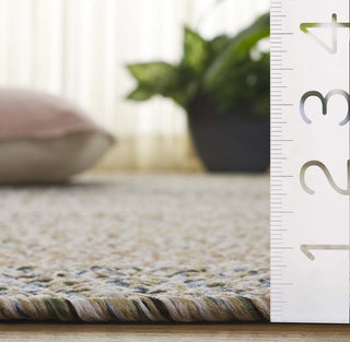Safavieh Braided BRD321B Beige / Light Grey Area Rug Detail
