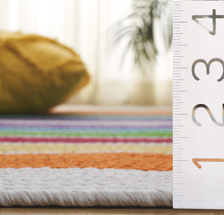 Safavieh Braided BRD325A Ivory / Rainbow Area Rug Detail