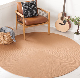 Safavieh Braided BRD402E Tan Area Rug Room Scene