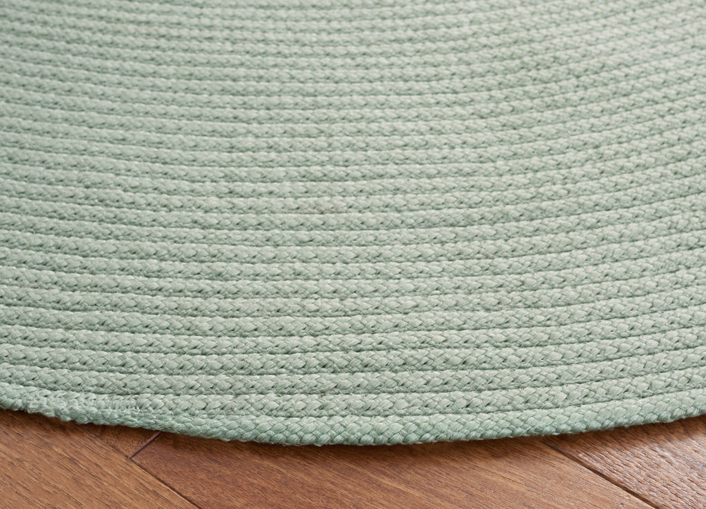 Safavieh Braided BRD402J Teal Area Rug main image