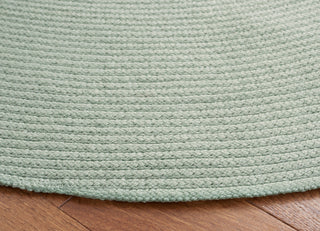 Safavieh Braided BRD402J Teal Area Rug main image