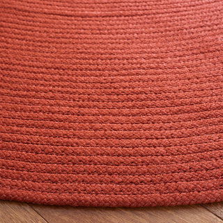 Safavieh Braided BRD402P Rust Area Rug main image