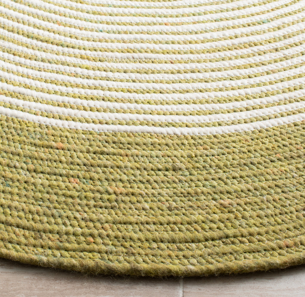 Safavieh Braided BRD904Y Green / Ivory Area Rug main image