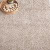 Safavieh Border and Stripe Shag BSP251 Beige / Ivory Area Rug