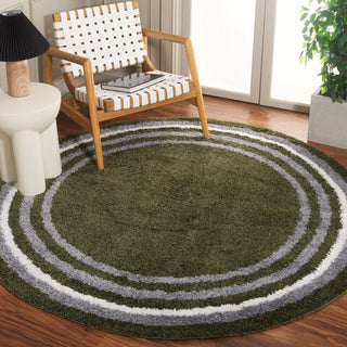 Safavieh Border and Stripe Shag BSP251 Green Area Rug