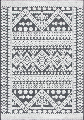 Safavieh Cabana CBN658A Ivory / Grey Area Rug main image