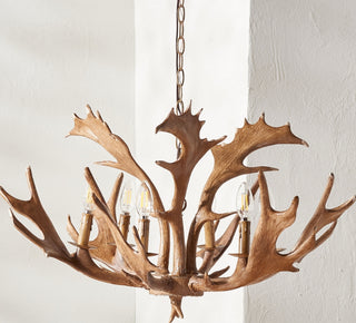 Safavieh Dresden CHA4029A Brown Lamp Room Scene Off Feature