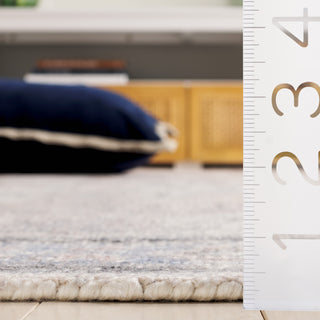Safavieh Classic Vintage CLV801F Grey / Beige Area Rug Detail