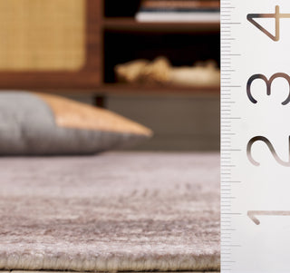 Safavieh Classic Vintage CLV802F Grey / Beige Area Rug Detail