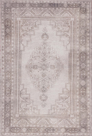 Safavieh Classic Vintage CLV802F Grey / Beige Area Rug main image