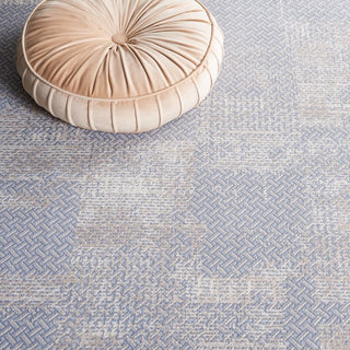 Safavieh Continental CON116 Light Grey / Beige Area Rug