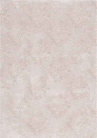 Safavieh Continental CON126 Ivory / Beige Area Rug