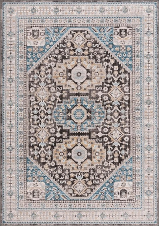 Safavieh Cornelia CRN211 Blue / Charcoal Area Rug