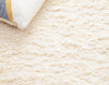 Safavieh Casablanca CSB499A Ivory Area Rug Detail