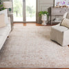 Safavieh Crescent CSE430M Light Blue / Beige Area Rug Room Scene Feature