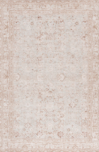 Safavieh Crescent CSE430M Light Blue / Beige Area Rug main image