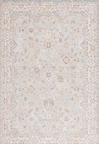 Safavieh Culture CUL1527F Grey / Blue Rust Area Rug main image