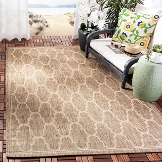 Safavieh Courtyard CY6016-242 Brown / Beige Area Rug Room Scene Feature